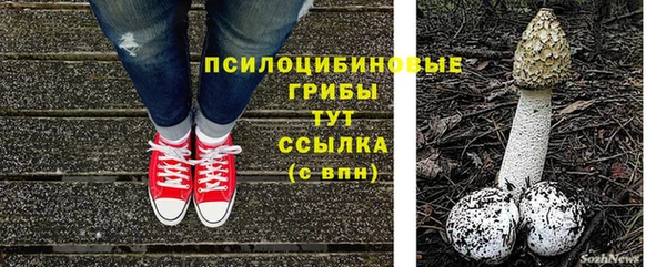 дживик Арсеньев