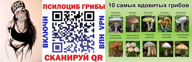 Галлюциногенные грибы Cubensis  Людиново 